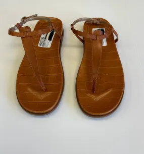 Brown Sandals Flats Sam Edelman, Size 9.5