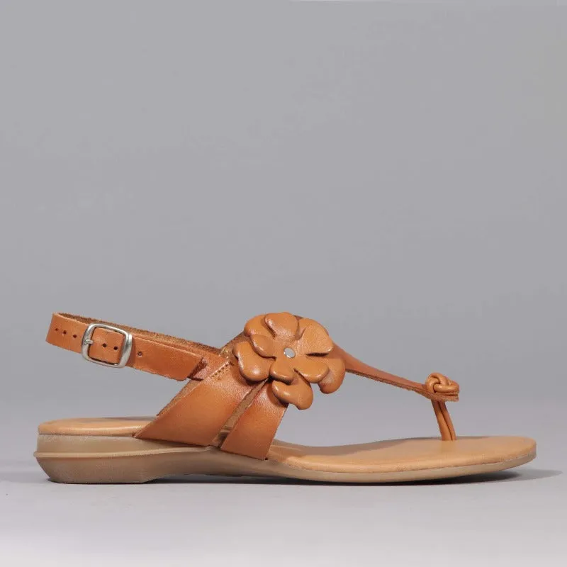 Flower Thong Sandal in Natural - 12621