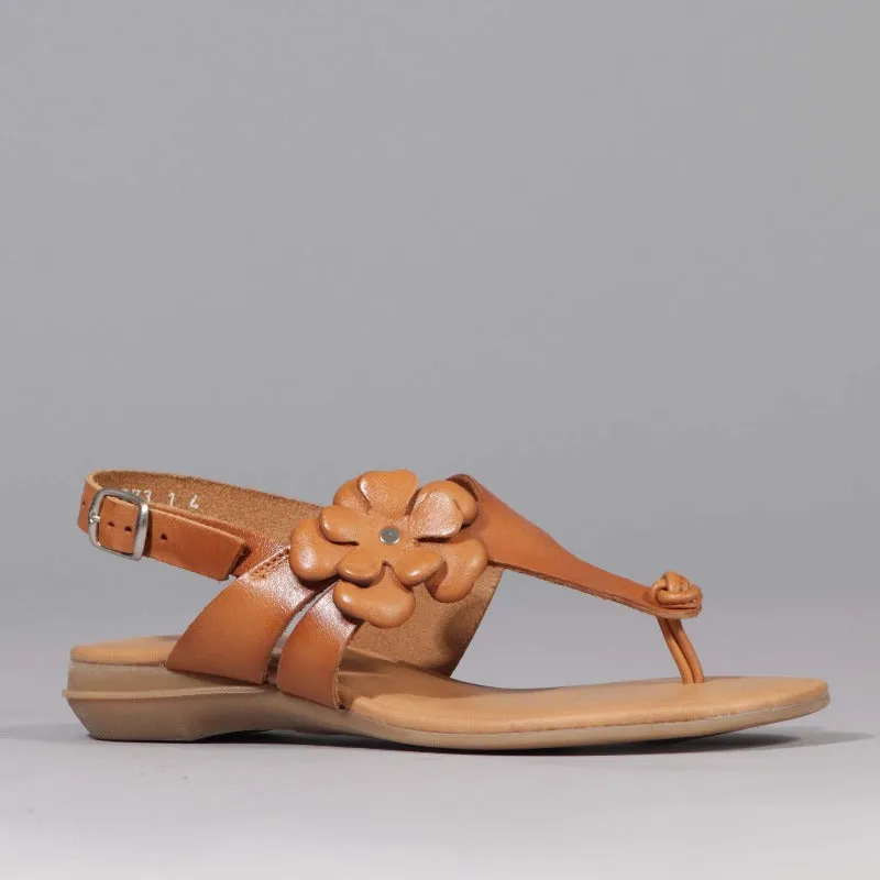 Flower Thong Sandal in Natural - 12621