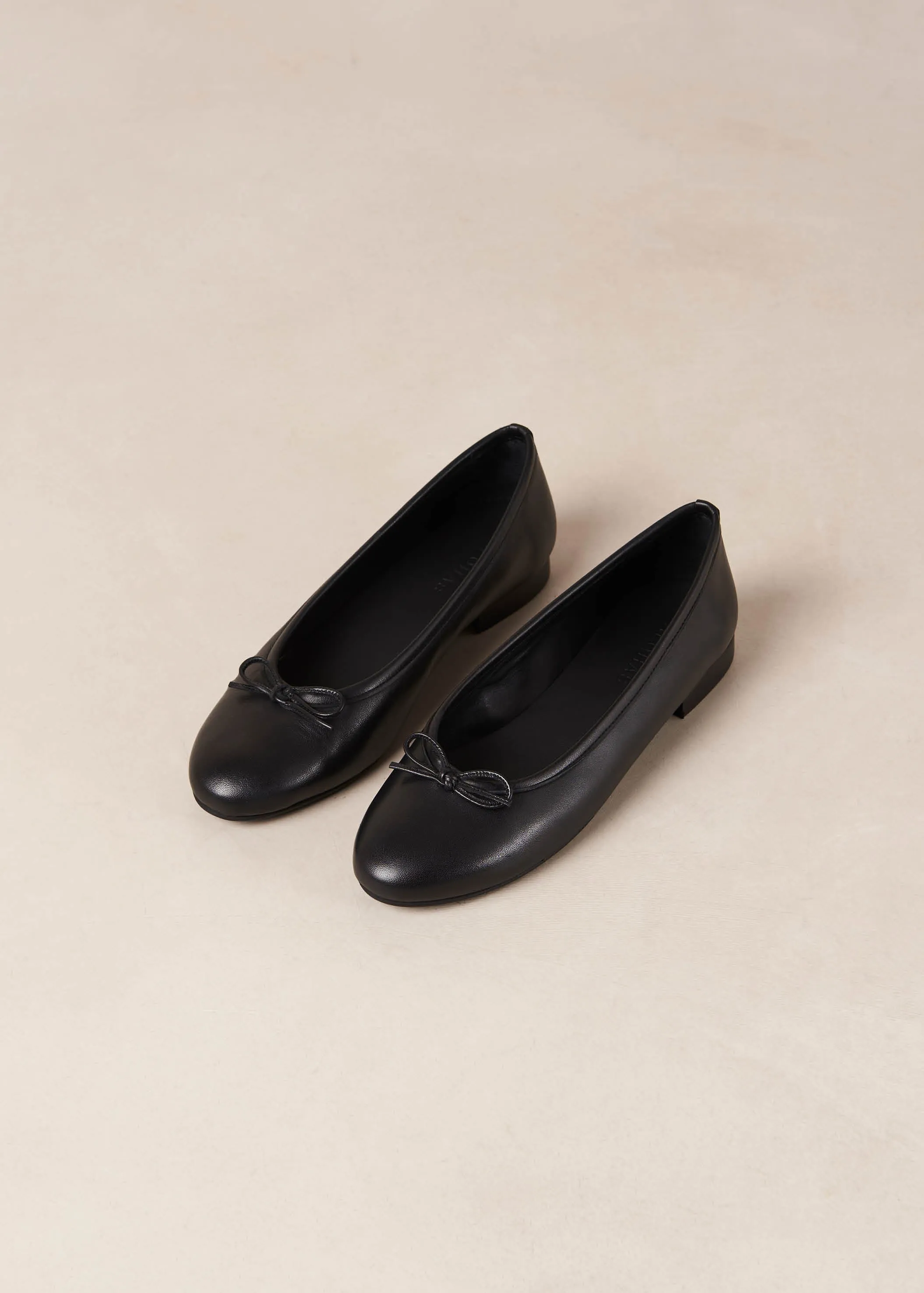 Oriana Black Leather Ballet Flats