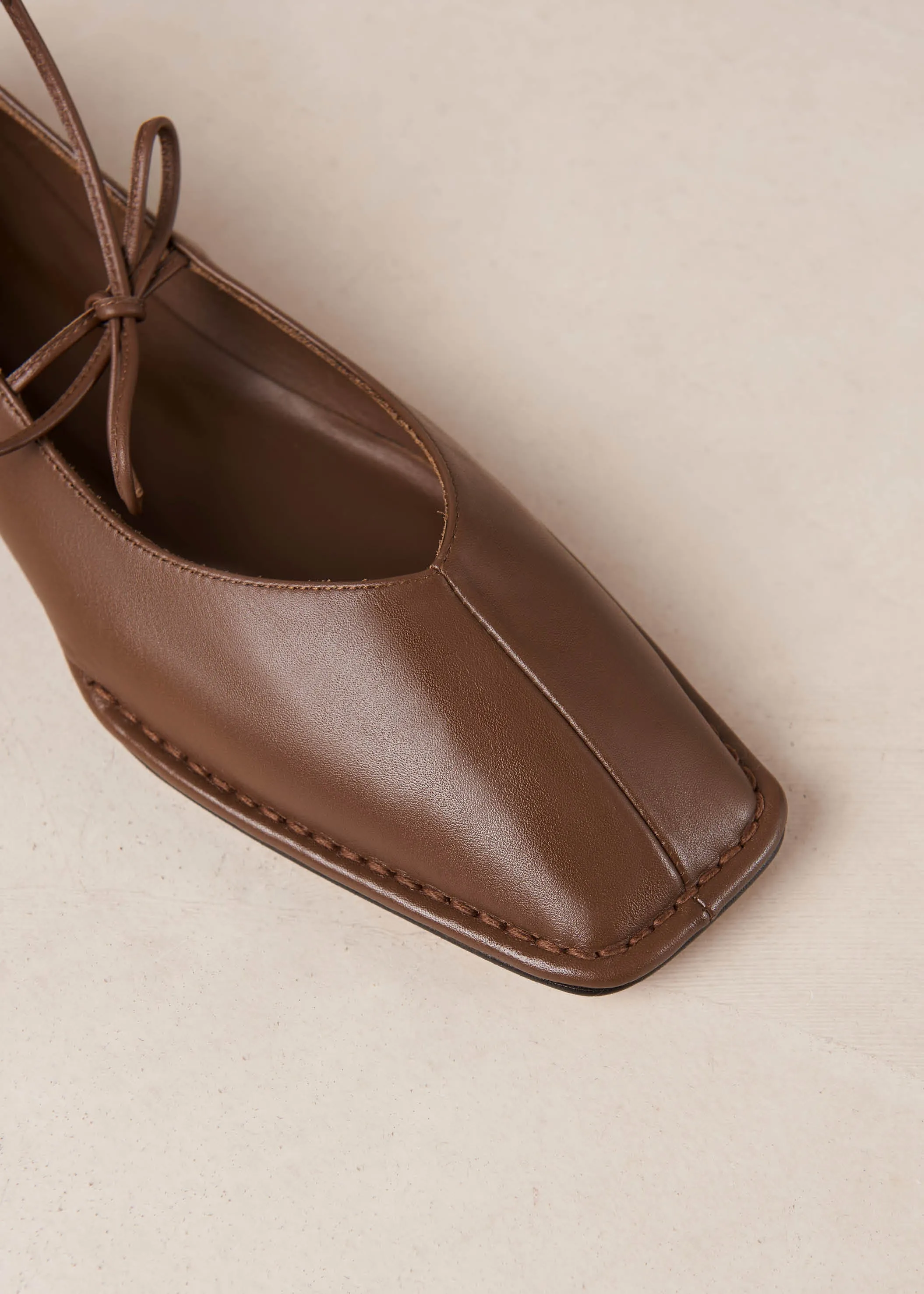 Sway Chestnut Brown Leather Ballet Flats