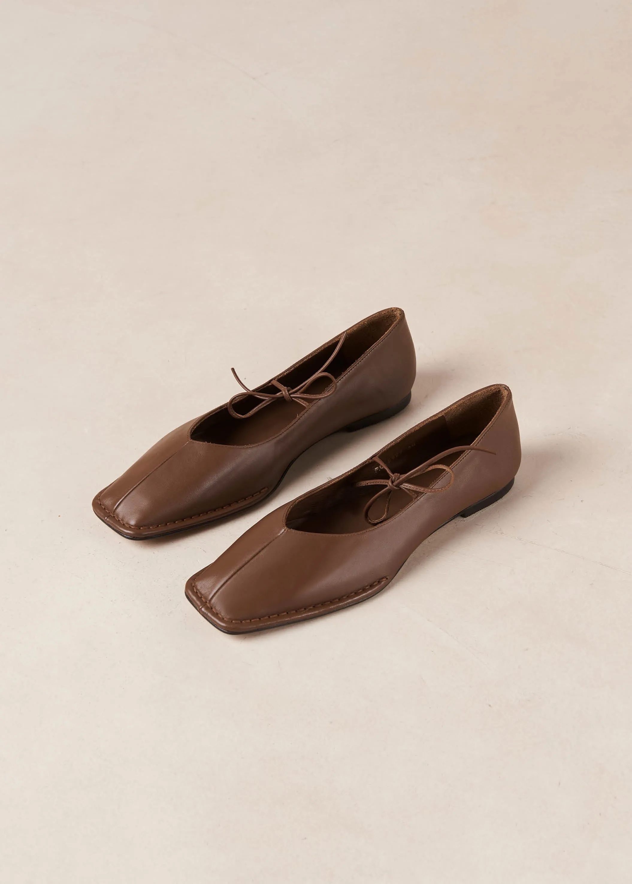 Sway Chestnut Brown Leather Ballet Flats