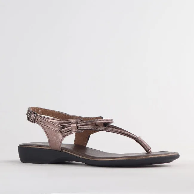 Women's Thong Flat Sandal in Lead - 10732